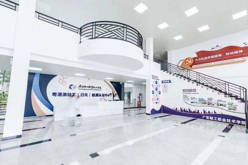 廣東新設職業本科院校首次招生，軟件服務專業迎來210名學子